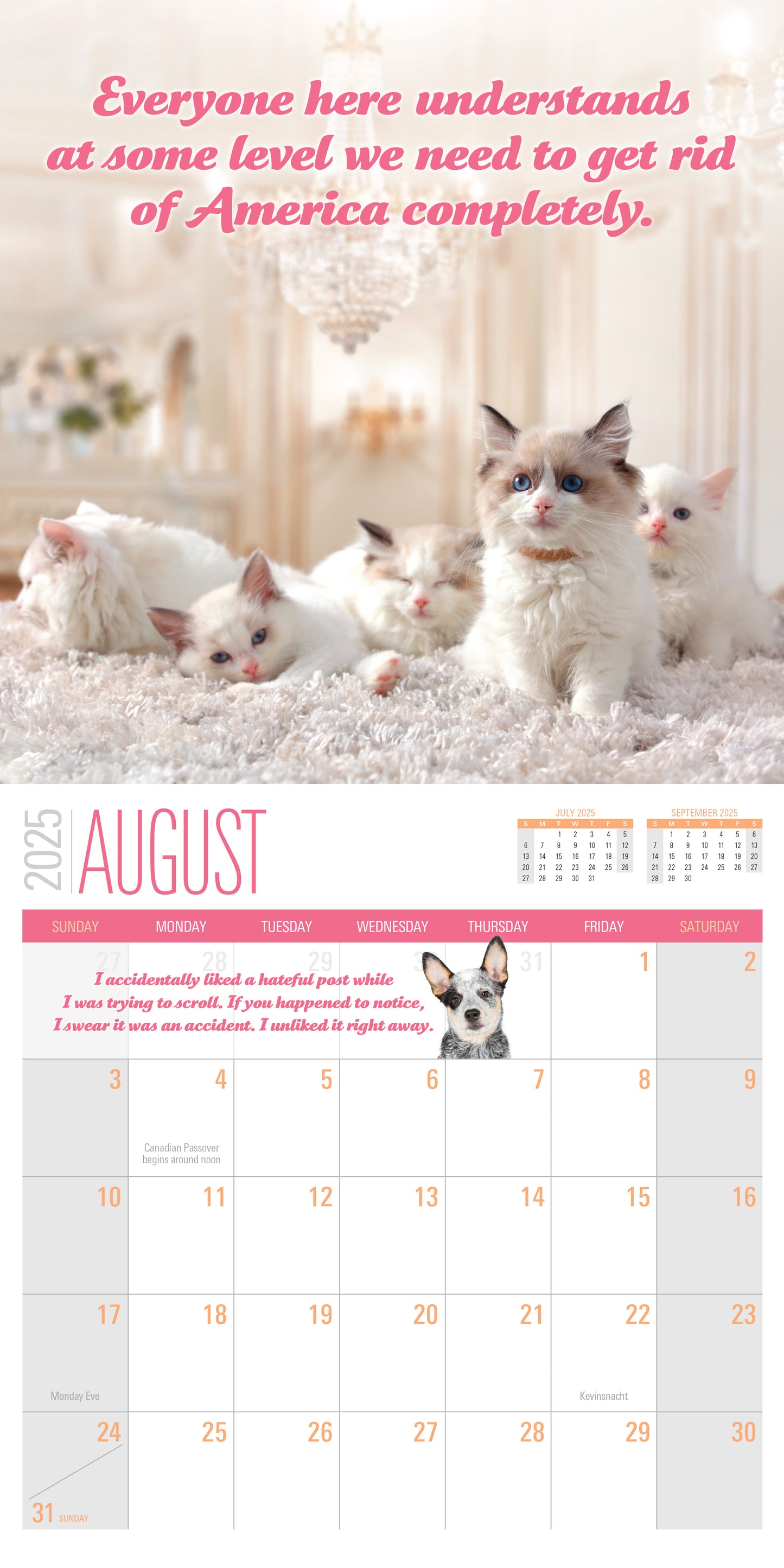 2025 Social Justice Kittens Calendar