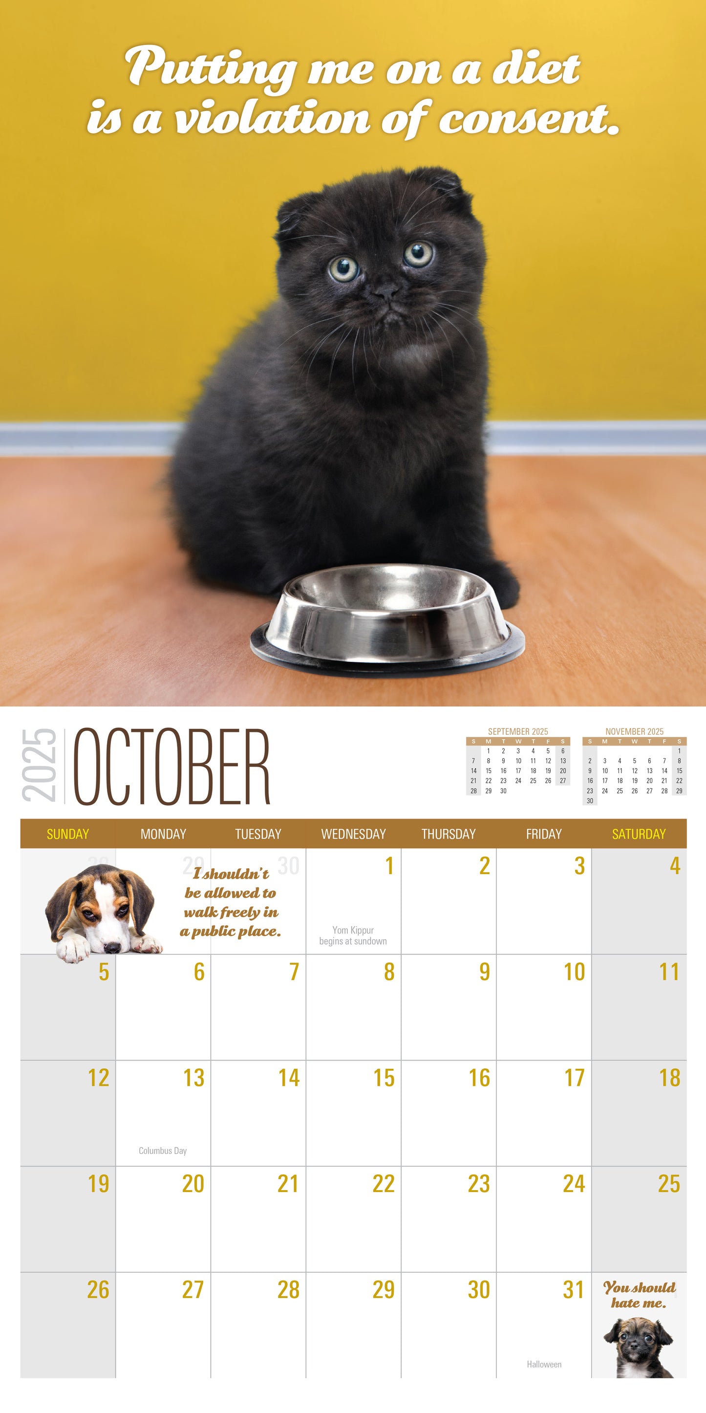 2025 Social Justice Kittens Calendar