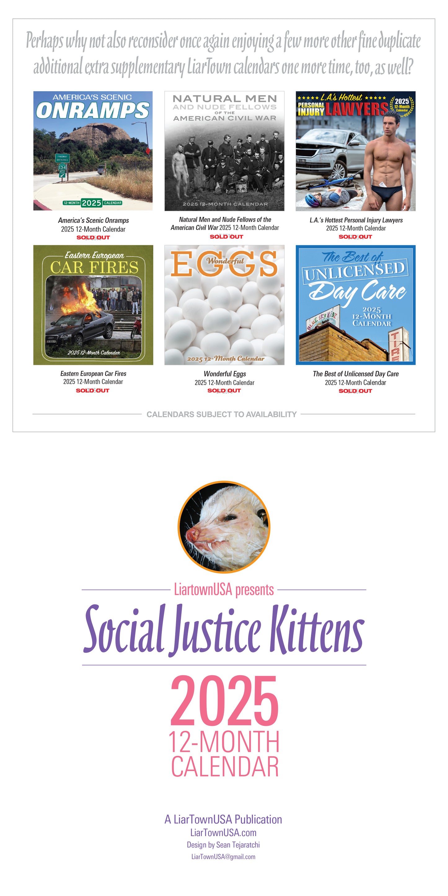 2025 Social Justice Kittens Calendar