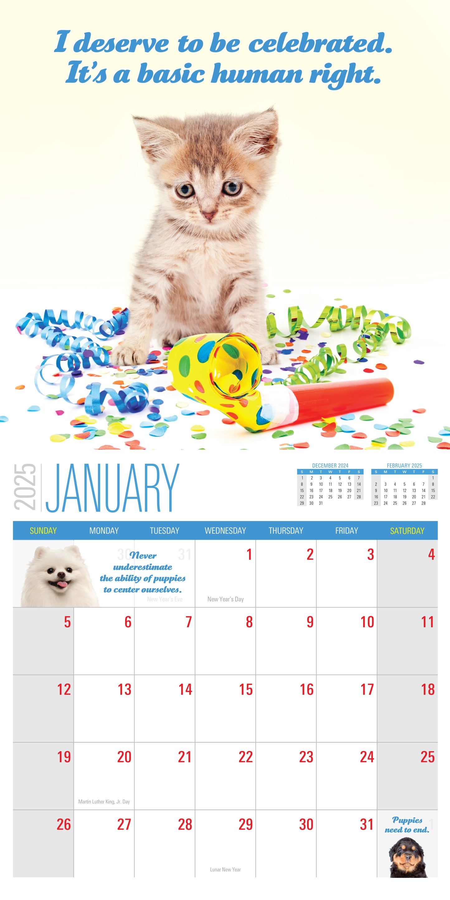 2025 Social Justice Kittens Calendar