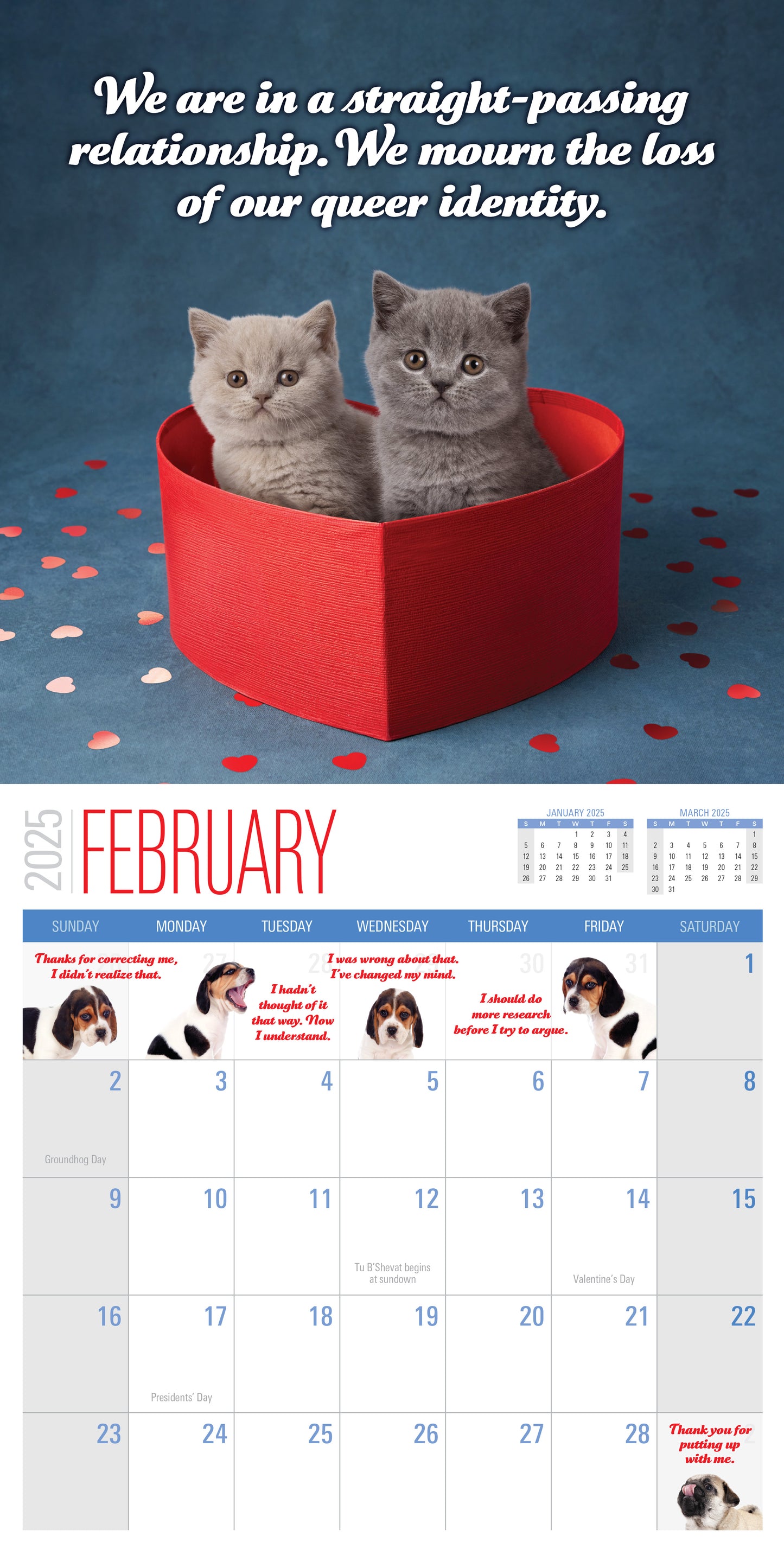 2025 Social Justice Kittens Calendar