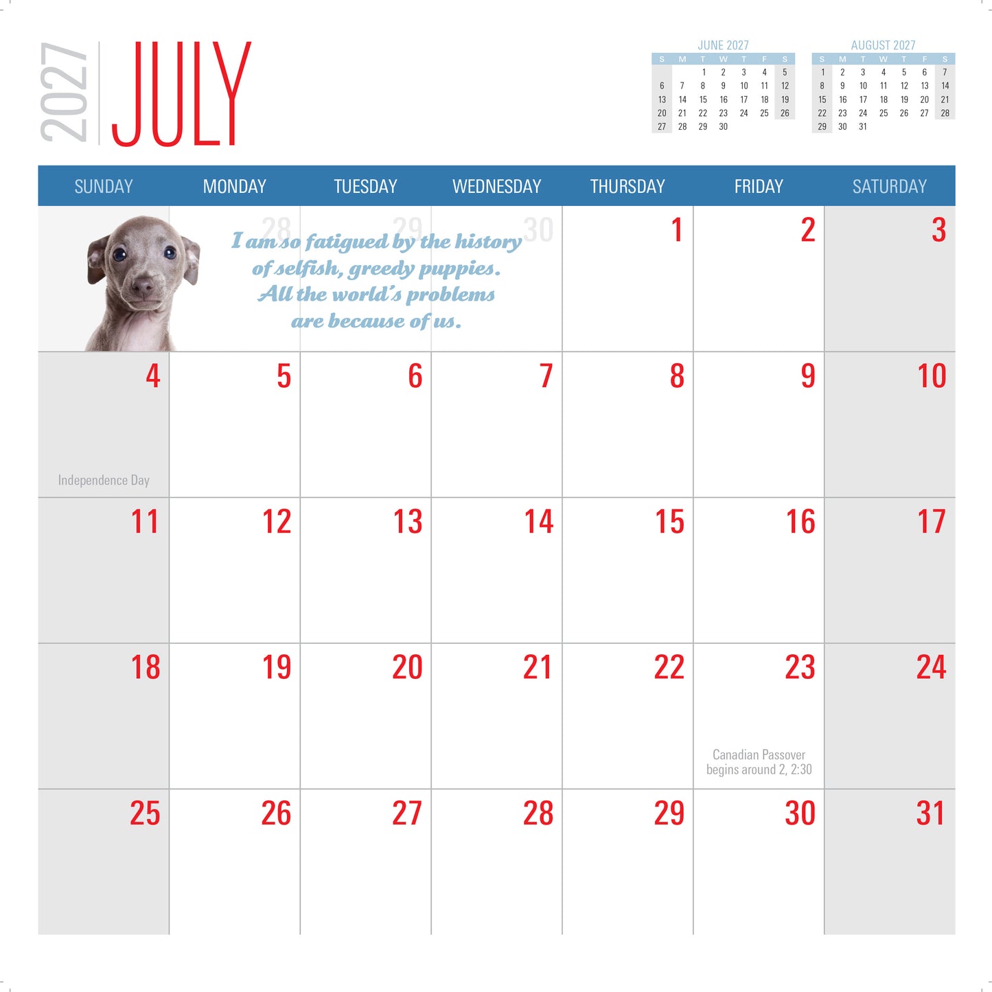 2027 Social Justice Kittens Calendar