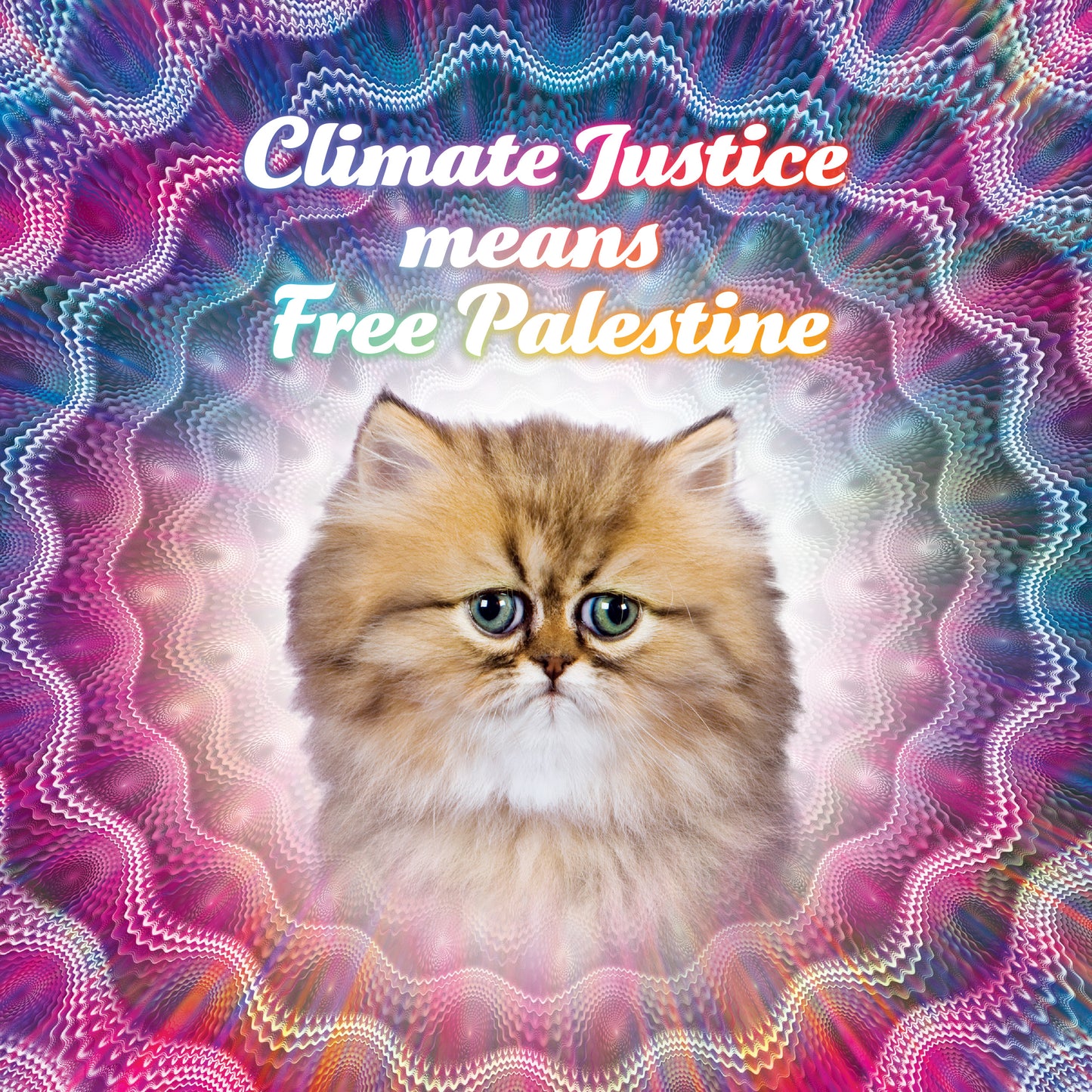 2027 Social Justice Kittens Calendar
