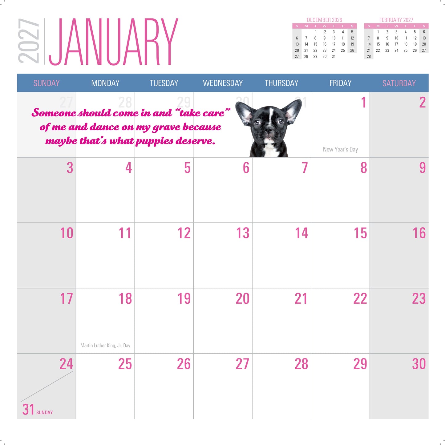 2027 Social Justice Kittens Calendar