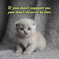 2026 Social Justice Kittens Calendar