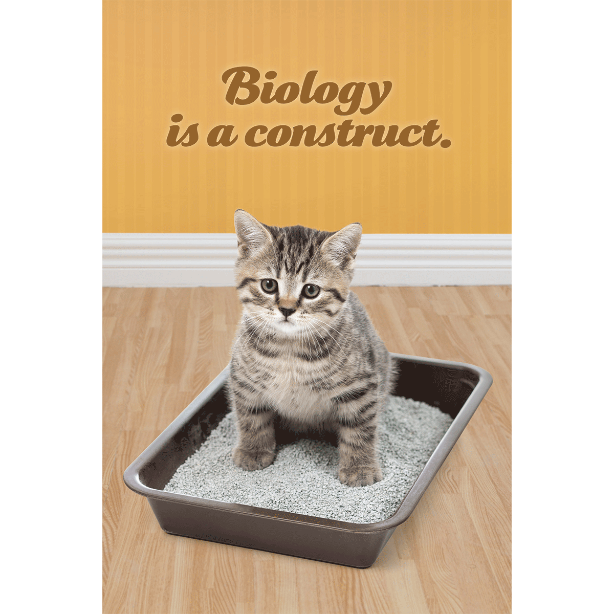 Biology Is a Construct