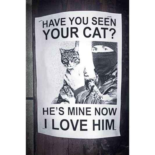 Have You Seen Your Cat?