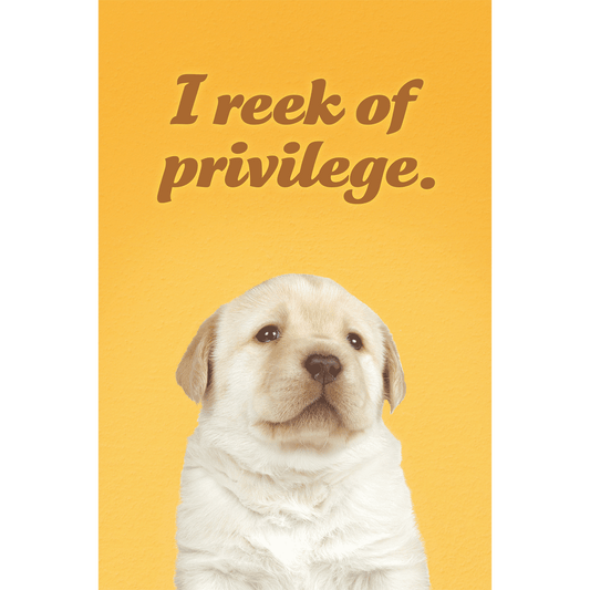 I Reek of Privilege
