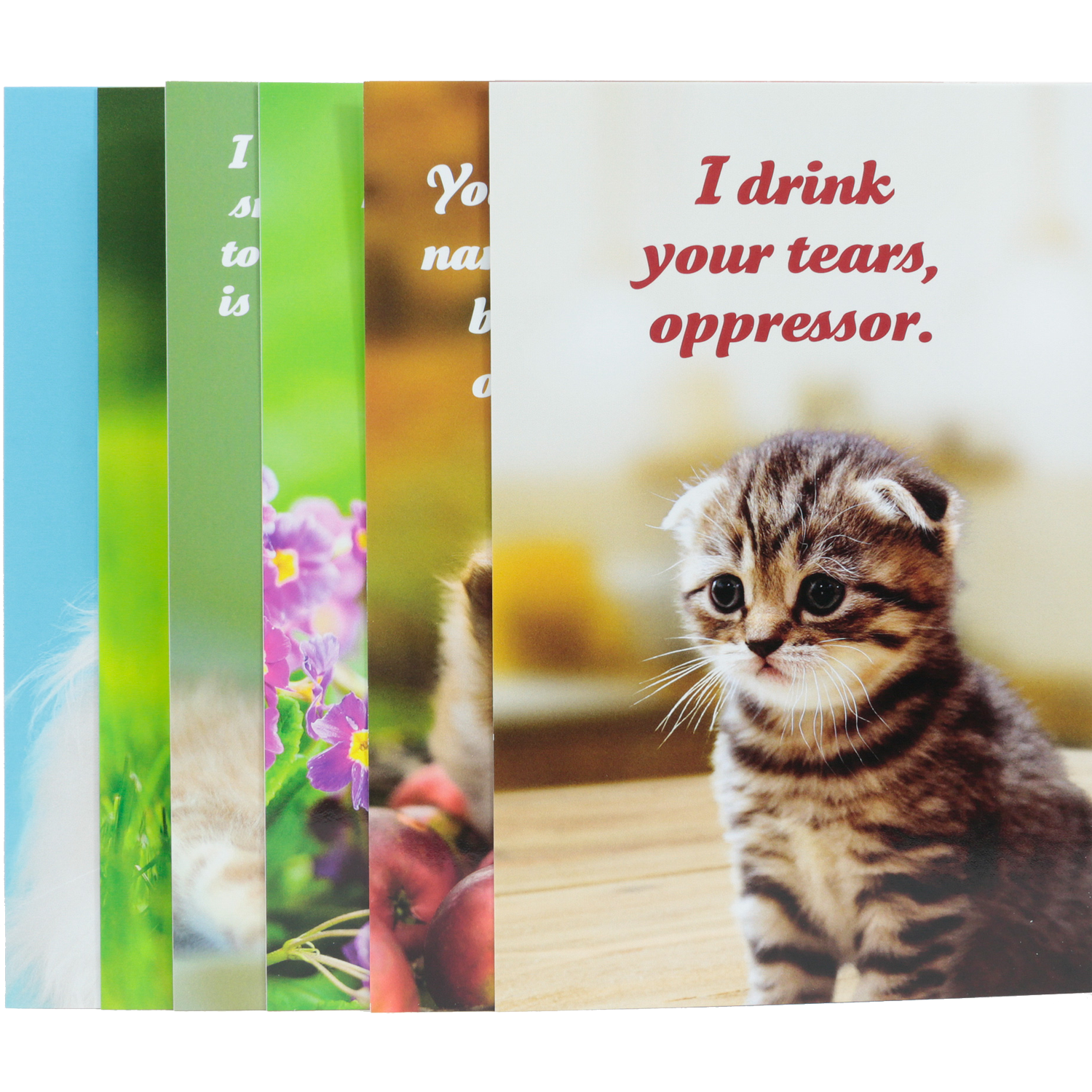 Social Justice Kittens Vol. I